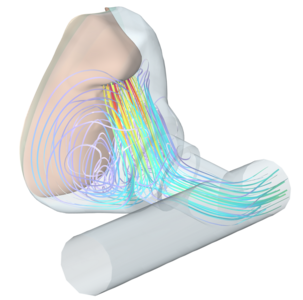 Stoff- und Wärmetransport in einer Sauerstoffmaske
