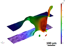 Numerical Simulation of Melt Hydrodynamics in Laser Micro Processing using ...