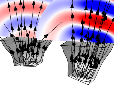Formoptimierung eines rechteckigen Lautsprecherhorns in 3D