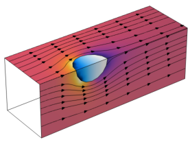 Superheated Steam Drying of a Wood Particle