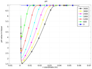Electrochemical Treatment of Tumors
