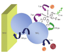 Optical and Electrical Modeling of Three Dimensional Dye Sensitized Solar ...